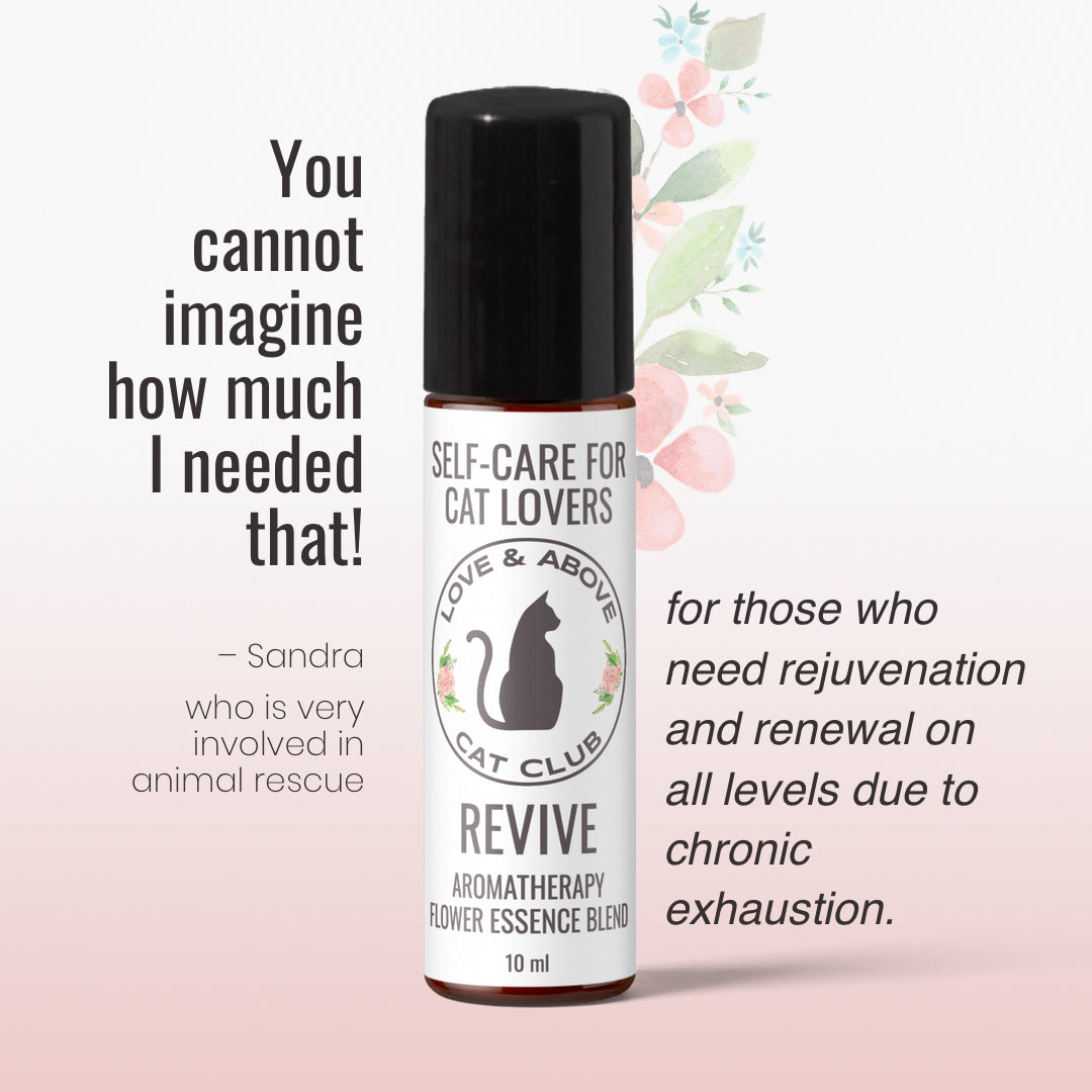 Revive Set