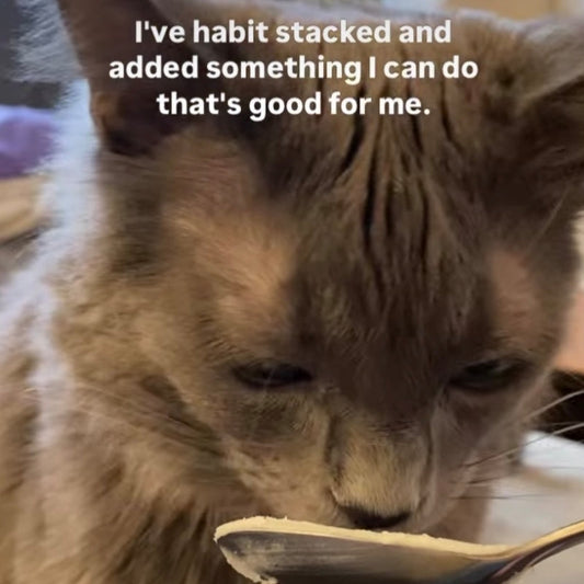 Habit Stacking: Start Healthy Habits with Help From Your Cat
