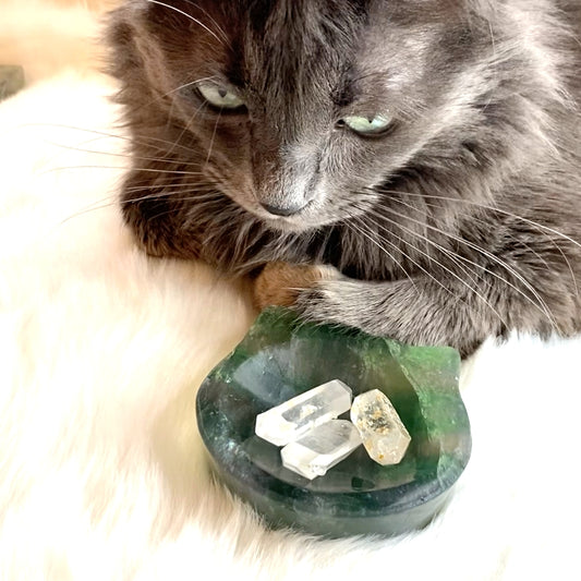 Why I Love Crystals So Much & How They Can Help You Too