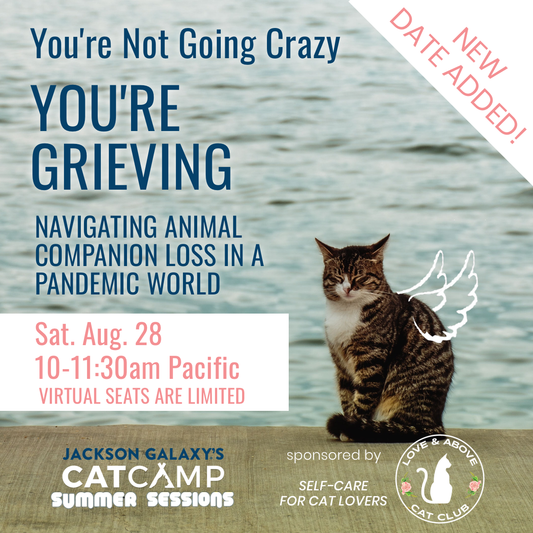 Webinar on Grieving: NEW DATE ADDED - Aug. 28, 2021