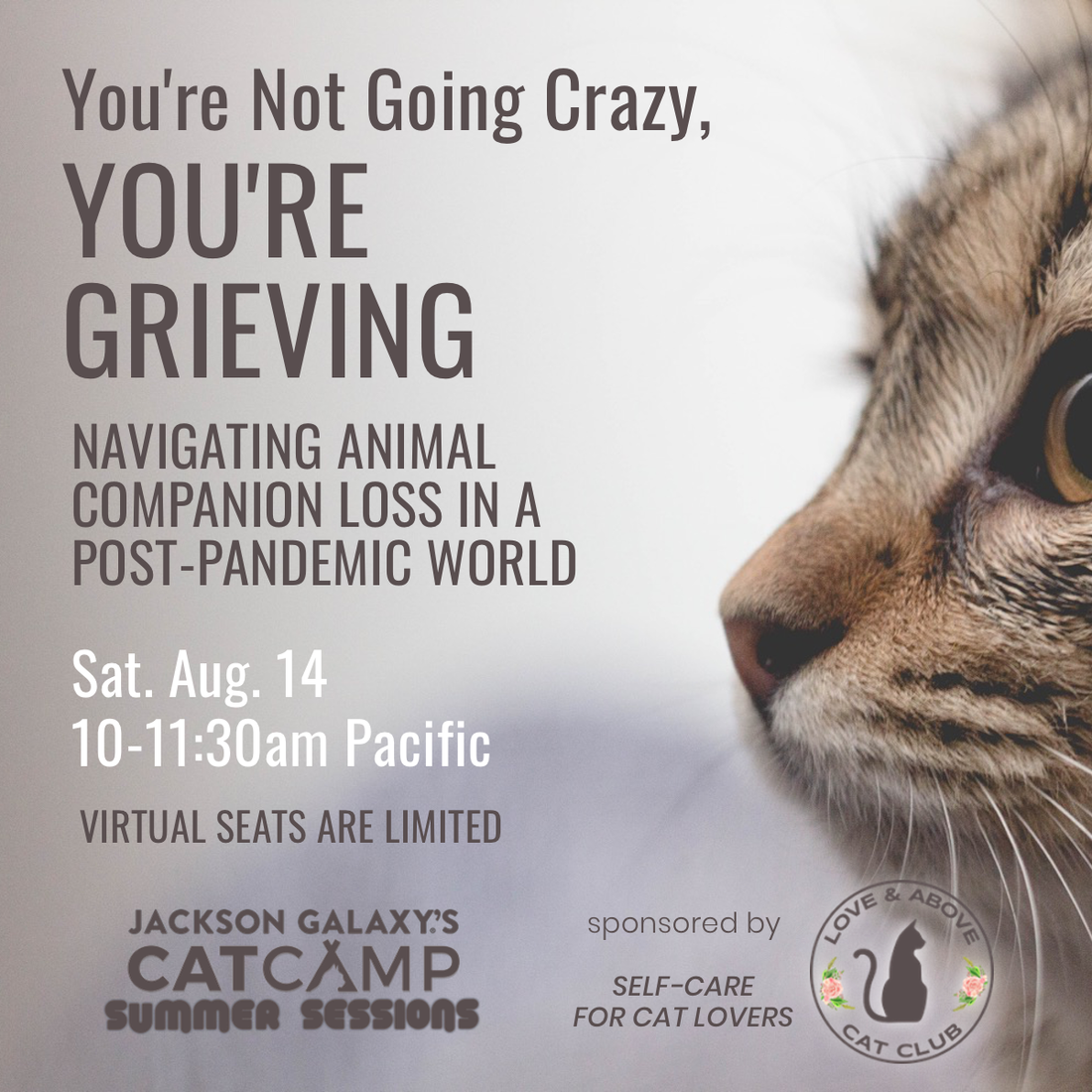 Animal Companion Loss: webinar on Aug. 14, 2021