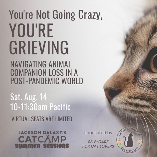 Animal Companion Loss: webinar on Aug. 14, 2021