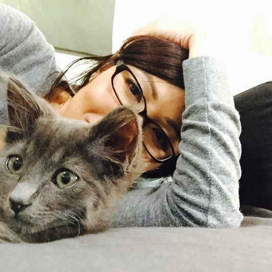 Welcome to The Love and Above Cat Club Blog