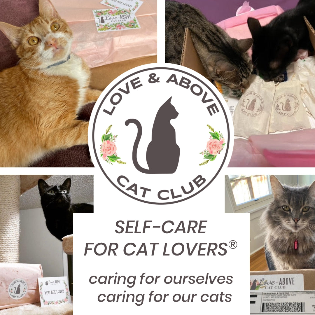 Our 2nd Anniversary: Love and Above Cat Club Turns Two!