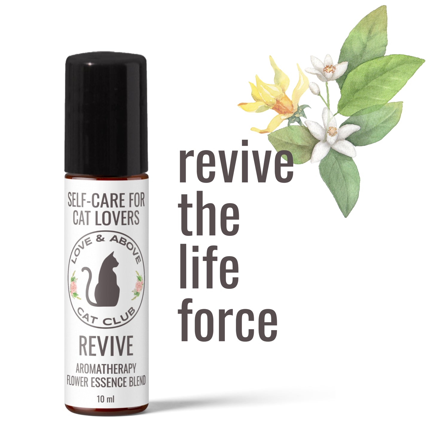 Revive Crystal Kitty Kit