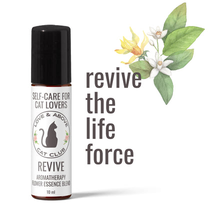 Revive Crystal Kitty Kit