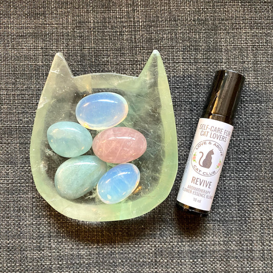 Revive Crystal Kitty Kit