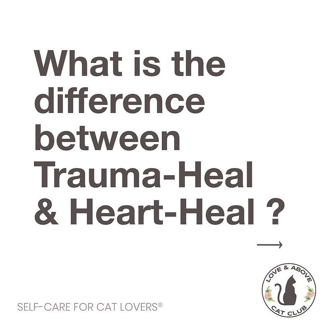 Trauma Support Flower Essence Blend