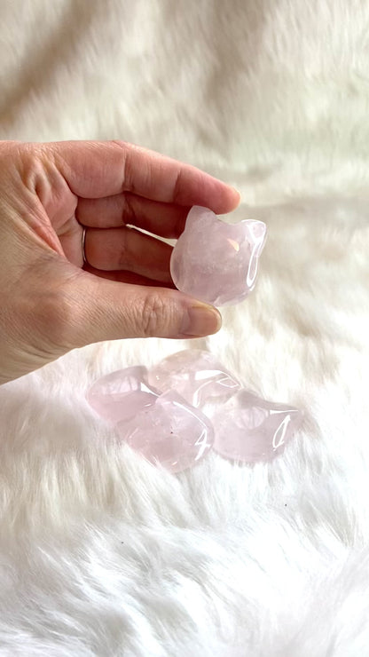 Rose Quartz Kitty Face
