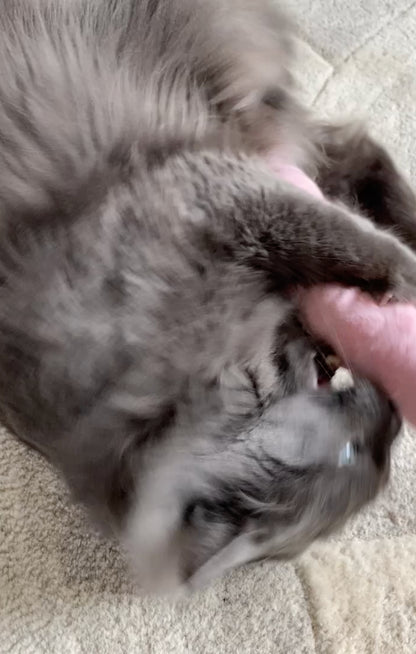 Love Boop Kicker - Pink