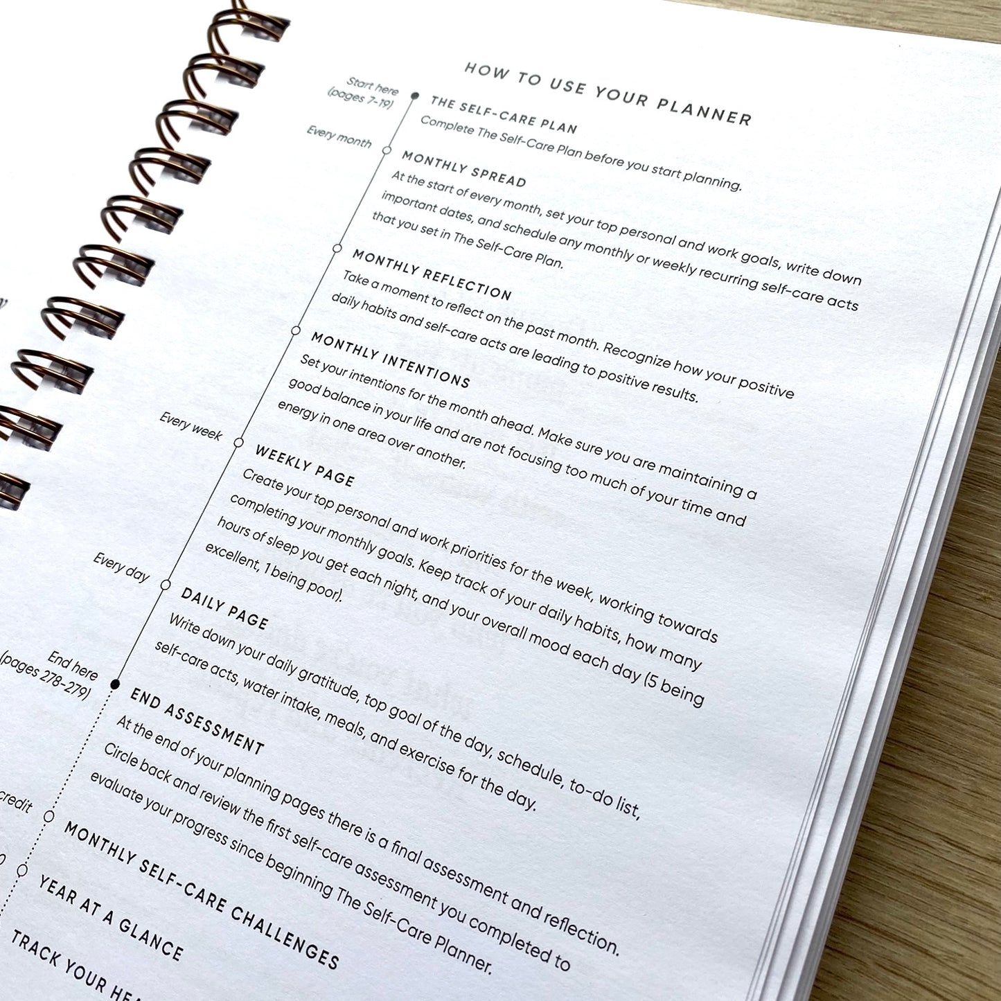 Self-Care Planner - Dusty Rose