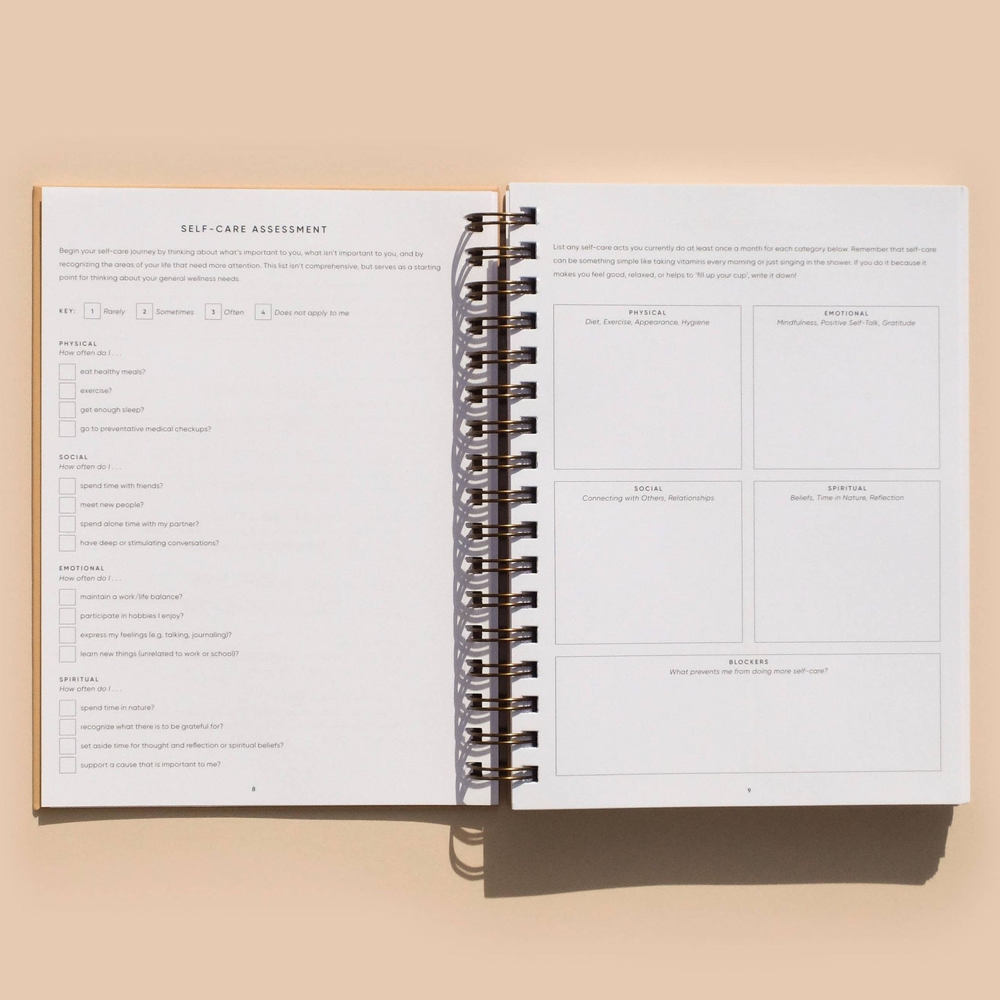 Self-Care Planner - Dusty Rose