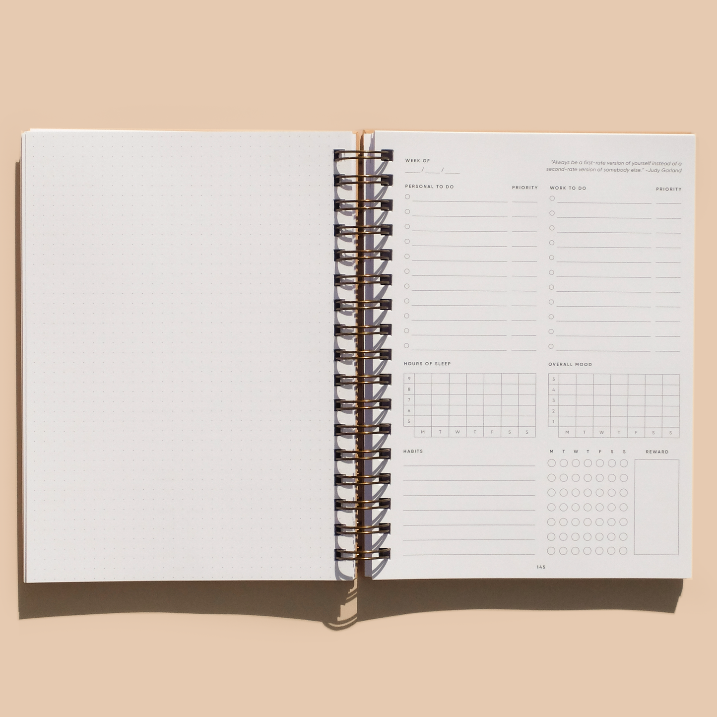 Self-Care Planner - Dusty Rose