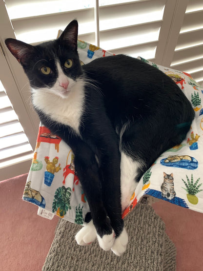 Cat Nap Mat - Succulents